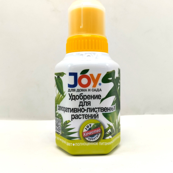 Декоративнолистные растения 0,25 л [JOY] купить с доставкой
