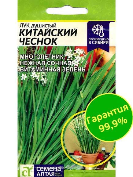 Лук Душистый Китайский Чеснок [Семена алтая] купить с доставкой