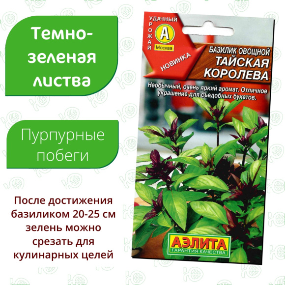 Базилик овощной Тайская королева [Аэлита] купить с доставкой