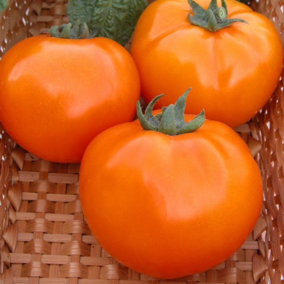 Томат Хурма 2 пакета [Семена Алтая] эконом купить с доставкой