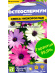 Остеоспермум Смесь низкорослая [Семена алтая] купить с доставкой