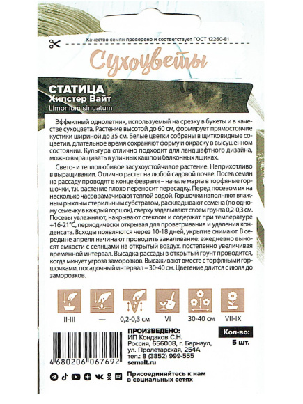 Статица Хипстер Вайт [Семена алтая] купить с доставкой