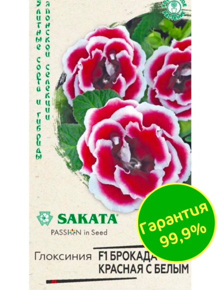Глоксиния Брокада Красная с Белым [Гавриш] купить с доставкой