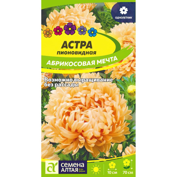Астра Абрикосовая Мечта [Семена алтая] купить с доставкой