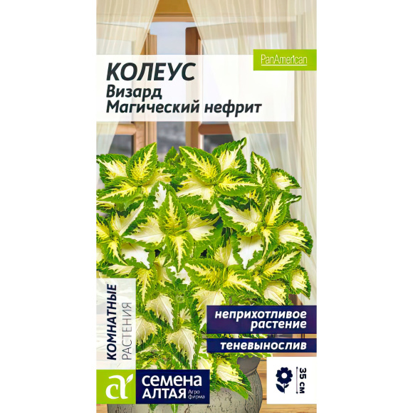 Колеус Визард Магический Нефрит [Семена алтая] купить с доставкой