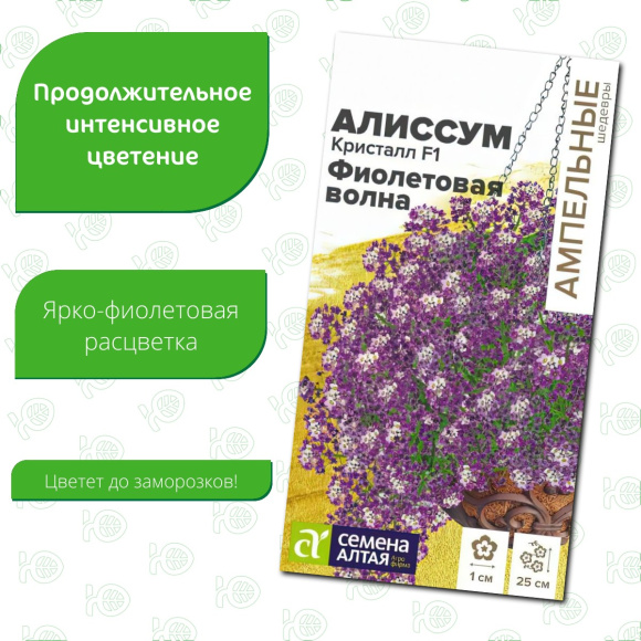 Алиссум Кристалл Фиолетовая Волна ампельный [Семена алтая] купить с доставкой
