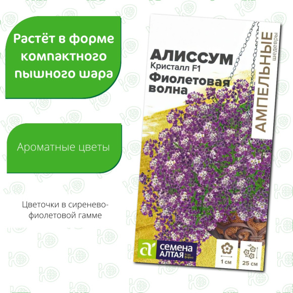 Алиссум Кристалл Фиолетовая Волна ампельный [Семена алтая] купить с доставкой