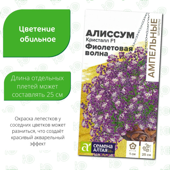 Алиссум Кристалл Фиолетовая Волна ампельный [Семена алтая] купить с доставкой