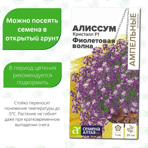 Алиссум Кристалл Фиолетовая Волна ампельный [Семена алтая] купить с доставкой