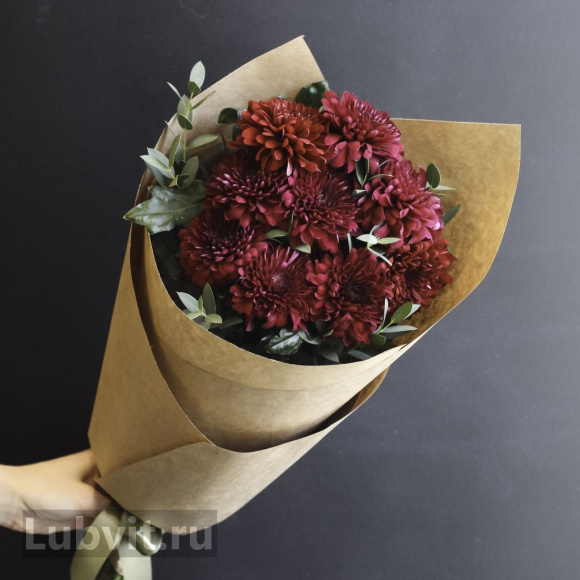 Хризантема садовая Барка (Barca) купить с доставкой