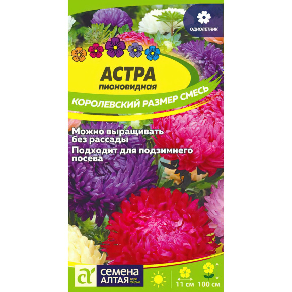 Астра Королевский размер Смесь [Семена алтая] купить с доставкой