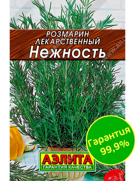 Розмарин Нежность [Аэлита] купить с доставкой