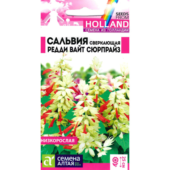Сальвия Редди Вайт Сюрпрайз сверкающая [Семена алтая] купить с доставкой