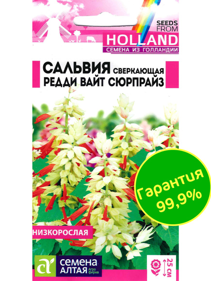 Сальвия Редди Вайт Сюрпрайз сверкающая [Семена алтая] купить с доставкой