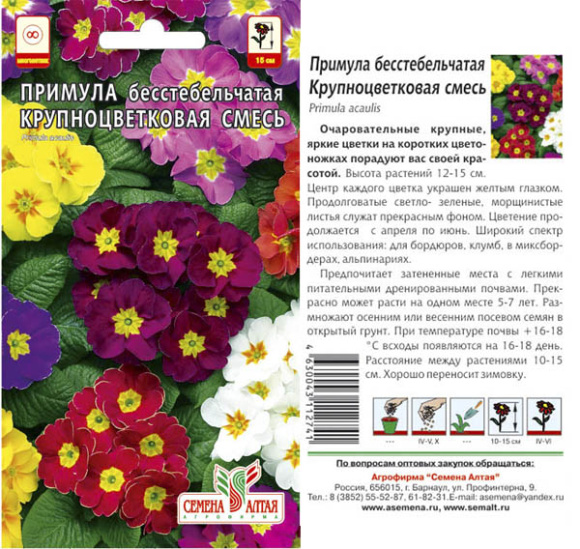 Примула Крупноцветковая смесь [Семена алтая] купить с доставкой