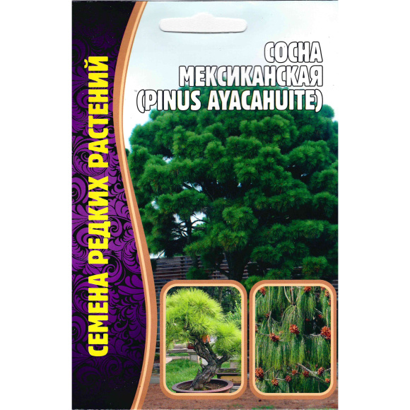 Сосна мексиканская [Семена редких растений] купить с доставкой