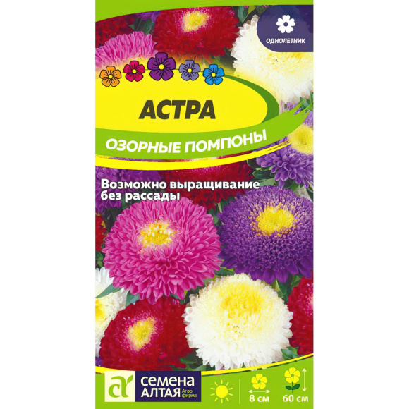 Астра Озорные Помпоны [Семена алтая] купить с доставкой