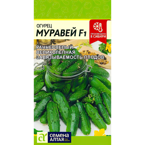 Огурец Муравей [Семена алтая] купить с доставкой