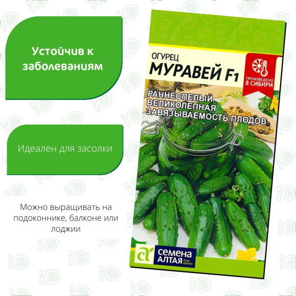 Огурец Муравей [Семена алтая] купить с доставкой