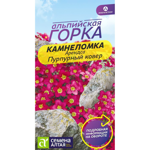 Камнеломка Пурпурный ковер Арендса [Семена алтая] купить с доставкой