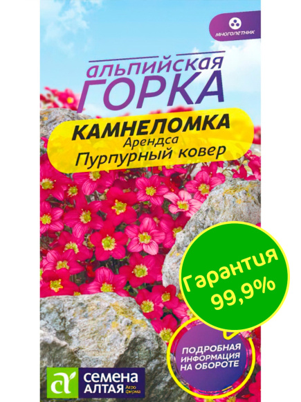 Камнеломка Пурпурный ковер Арендса [Семена алтая] купить с доставкой