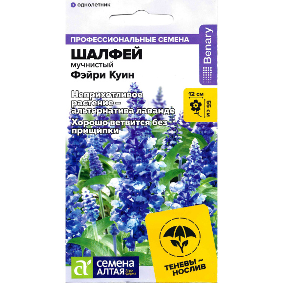 Шалфей Фэйри Куин мучнистый [Семена алтая] купить с доставкой
