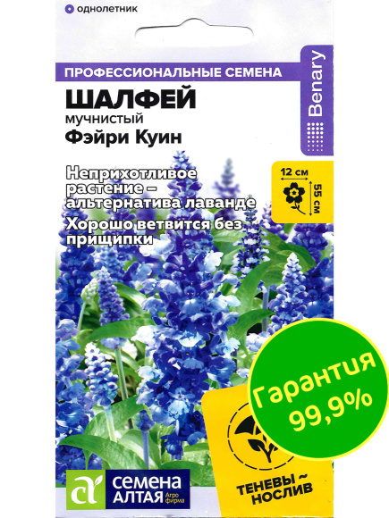 Шалфей Фэйри Куин мучнистый [Семена алтая] купить с доставкой