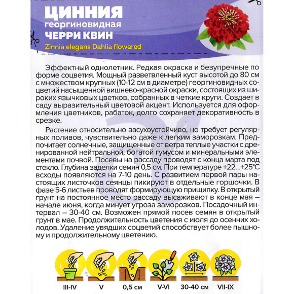 Цинния Черри Квин георгиноцветковая [Семена алтая] купить с доставкой