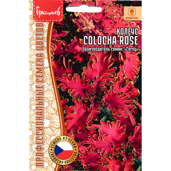 Колеус Colocha Rose [Семена редких растений] купить с доставкой