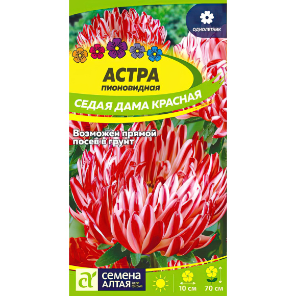 Астра Седая Дама Красная [Семена алтая] купить с доставкой