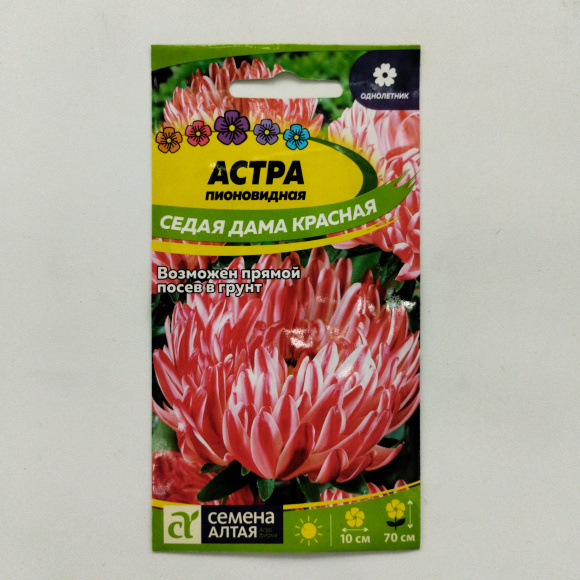 Астра Седая Дама Красная [Семена алтая] купить с доставкой