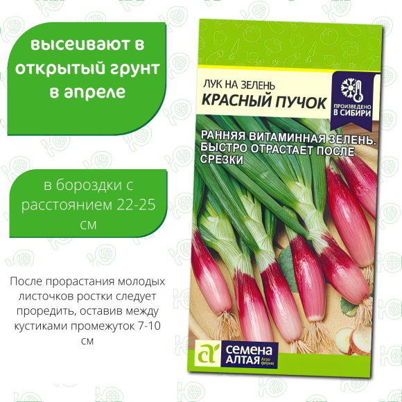 Лук на Зелень Красный Пучок [Семена алтая] купить с доставкой