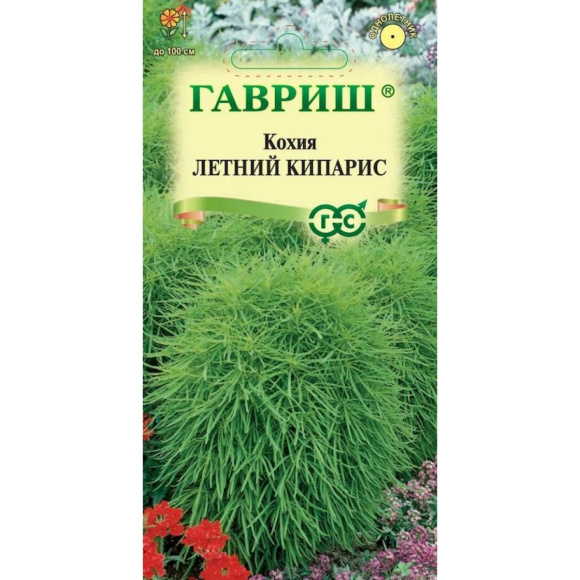 Кохия Летний Кипарис веничная [Гавриш] купить с доставкой