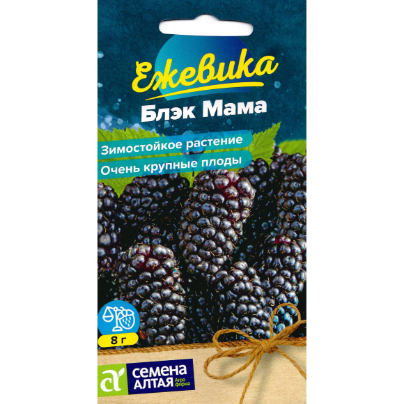 Ежевика Блэк Мама крупноплодная [Семена алтая] купить с доставкой