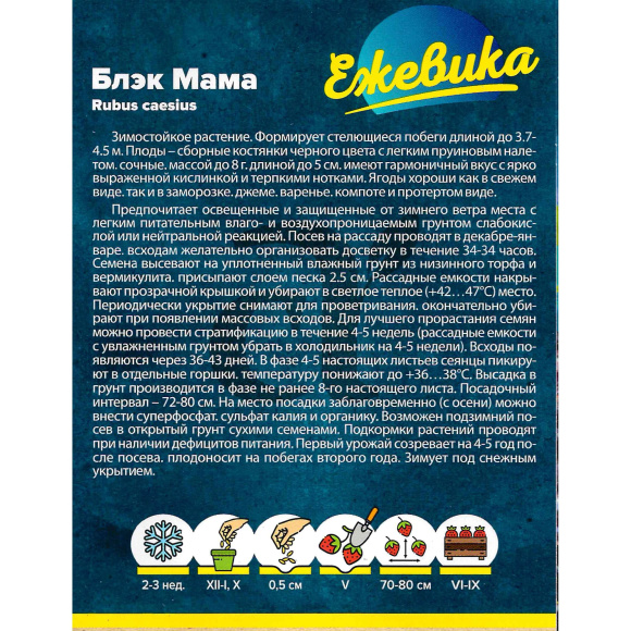 Ежевика Блэк Мама крупноплодная [Семена алтая] купить с доставкой