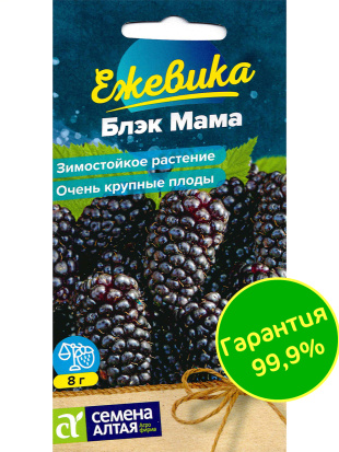 Ежевика Блэк Мама крупноплодная [Семена алтая]