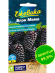 Ежевика Блэк Мама крупноплодная [Семена алтая] купить с доставкой