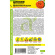 Цинния Оранжевый Ацтек кактусовидная [Семена алтая] купить с доставкой