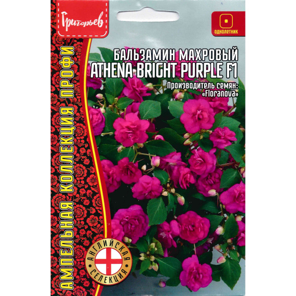 Бальзамин Уоллера Athena Bright Purple [Семена редких растений] купить с доставкой