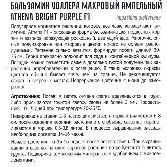 Бальзамин Уоллера Athena Bright Purple [Семена редких растений] купить с доставкой