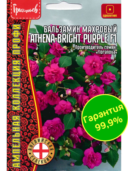 Бальзамин Уоллера Athena Bright Purple [Семена редких растений] купить с доставкой