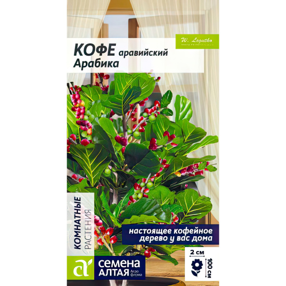 Кофе Арабика аравийский [Семена алтая] купить с доставкой