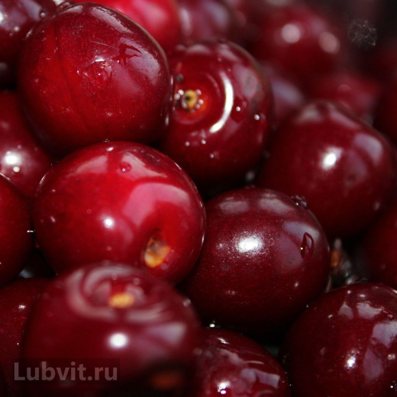 Вишня Волочаевка купить с доставкой