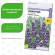 Лаванда Синее копье узколистная [Семена алтая] купить с доставкой