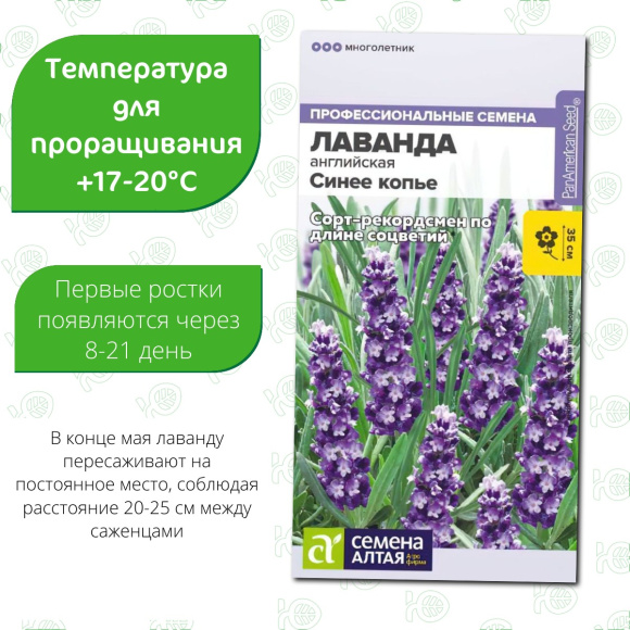 Лаванда Синее копье узколистная [Семена алтая] купить с доставкой