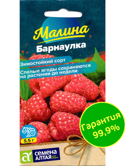 Малина Барнаулка красная [Семена алтая] купить с доставкой