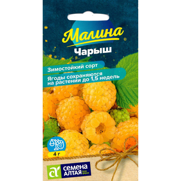 Малина Чарыш желтая [Семена алтая] купить с доставкой