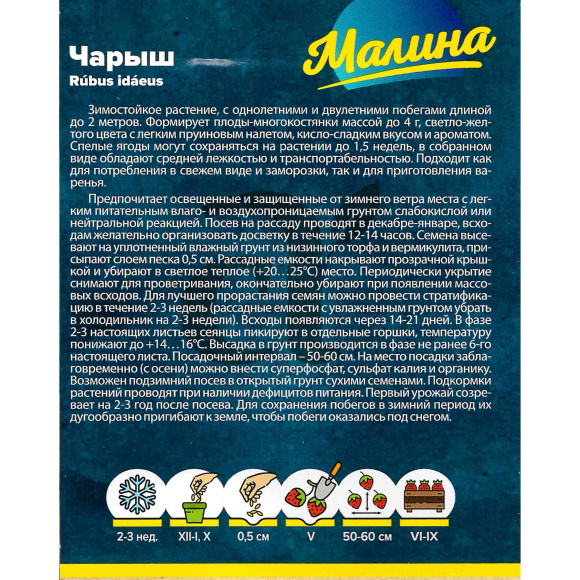 Малина Чарыш желтая [Семена алтая] купить с доставкой
