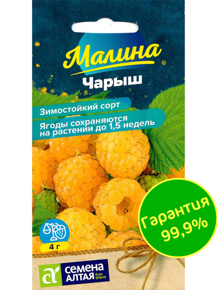 Малина Чарыш желтая [Семена алтая] купить с доставкой