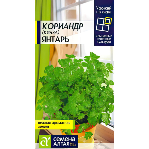 Кориандр Янтарь [Семена алтая] купить с доставкой